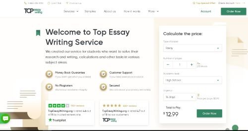 TopEssayWriting website